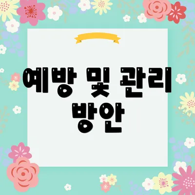 예방 및 관리 방안