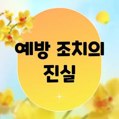 예방 조치의 진실