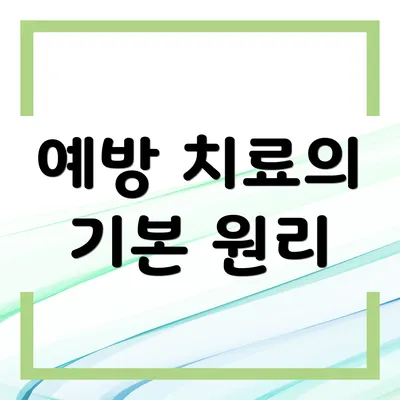 예방 치료의 기본 원리