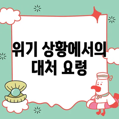 위기 상황에서의 대처 요령