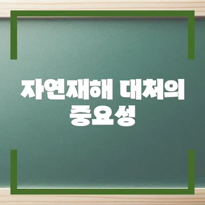 자연재해 대처의 중요성