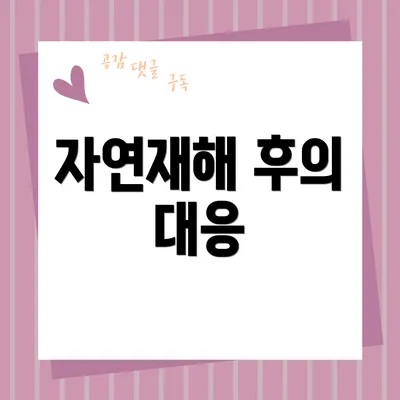 자연재해 후의 대응