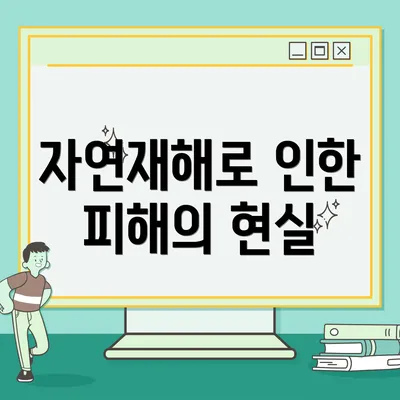 자연재해로 인한 피해의 현실