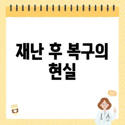 재난 후 복구의 현실