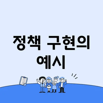 정책 구현의 예시