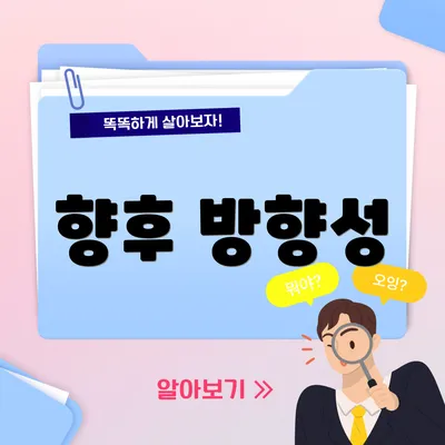 향후 방향성