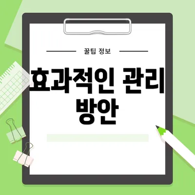 효과적인 관리 방안