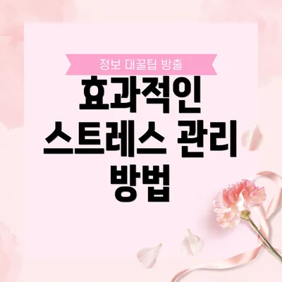 효과적인 스트레스 관리 방법