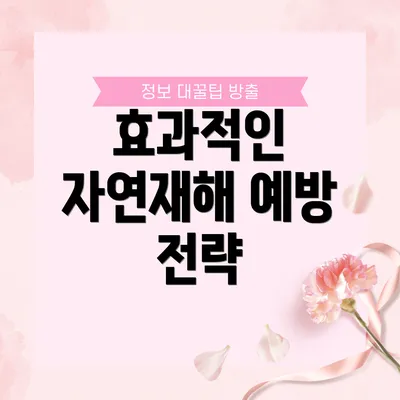 효과적인 자연재해 예방 전략