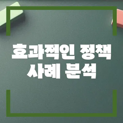 효과적인 정책 사례 분석