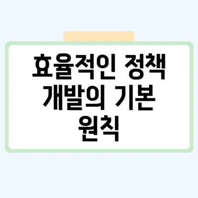 효율적인 정책 개발의 기본 원칙