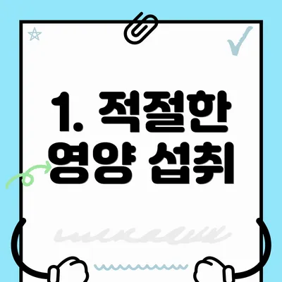 1. 적절한 영양 섭취