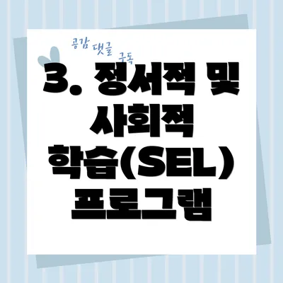 3. 정서적 및 사회적 학습(SEL) 프로그램