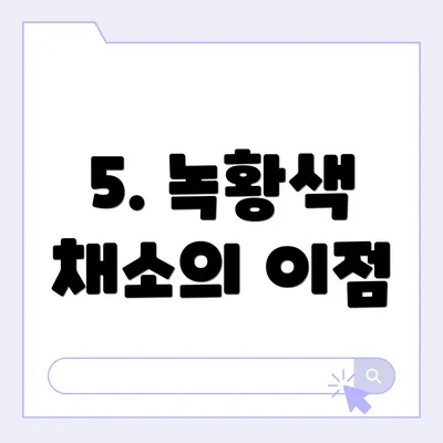 5. 녹황색 채소의 이점