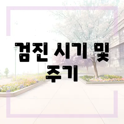 검진 시기 및 주기