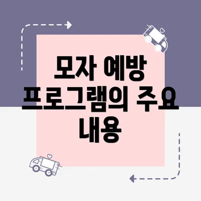 모자 예방 프로그램의 주요 내용
