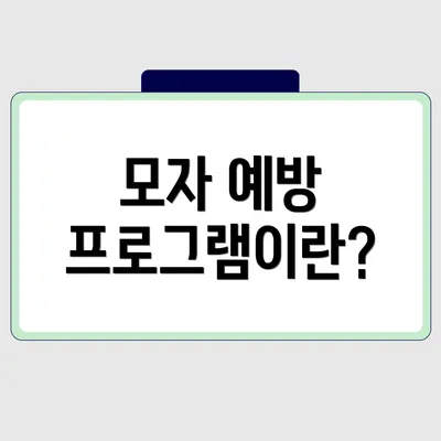 모자 예방 프로그램이란?