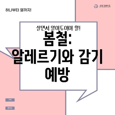 봄철: 알레르기와 감기 예방