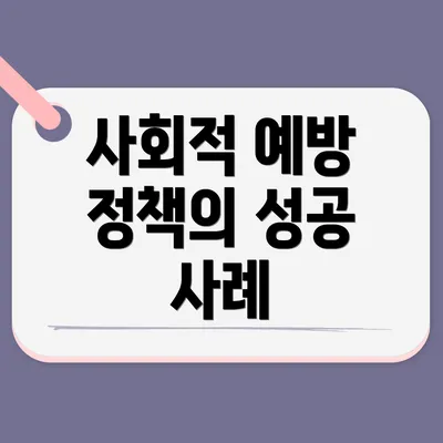 사회적 예방 정책의 성공 사례