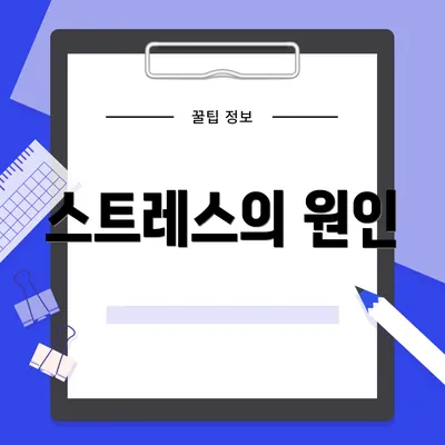 스트레스의 원인