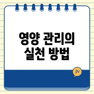 영양 관리의 실천 방법