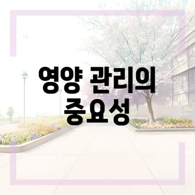영양 관리의 중요성