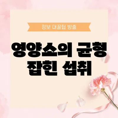 영양소의 균형 잡힌 섭취