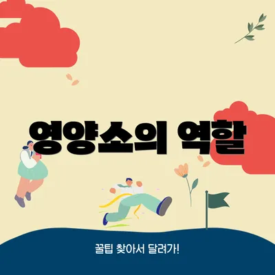 영양소의 역할
