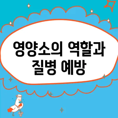 영양소의 역할과 질병 예방