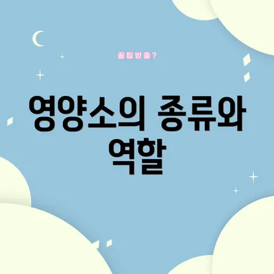 영양소의 종류와 역할