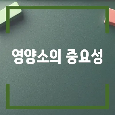영양소의 중요성