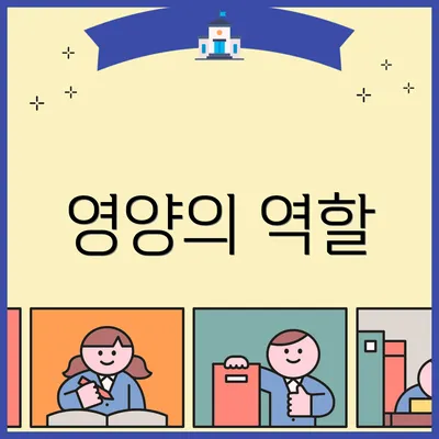 영양의 역할