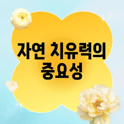 자연 치유력의 중요성