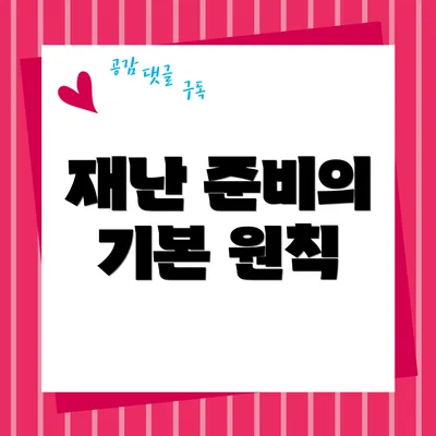 재난 준비의 기본 원칙