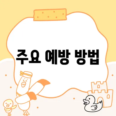 주요 예방 방법