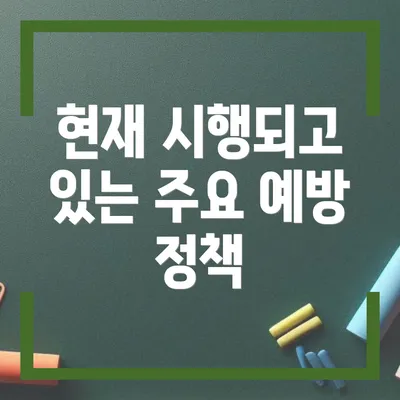 현재 시행되고 있는 주요 예방 정책