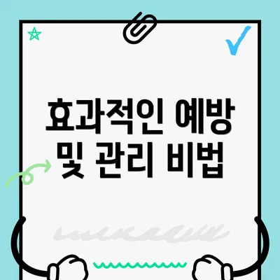 효과적인 예방 및 관리 비법