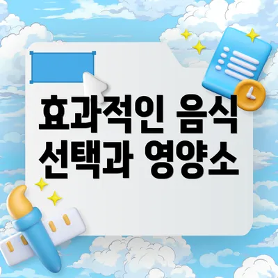 효과적인 음식 선택과 영양소