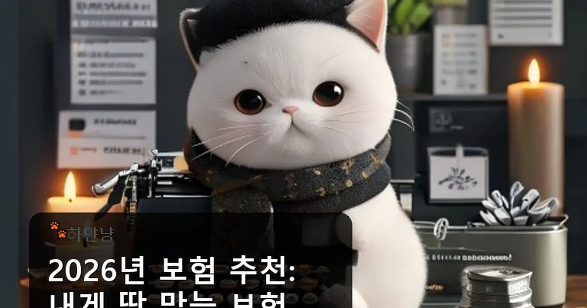 보험 추천 - chanyangyee.kr 캐릭터