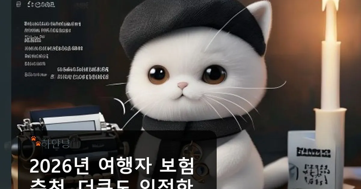 여행자 보험 추천 더쿠 - chanyangyee.kr 캐릭터
