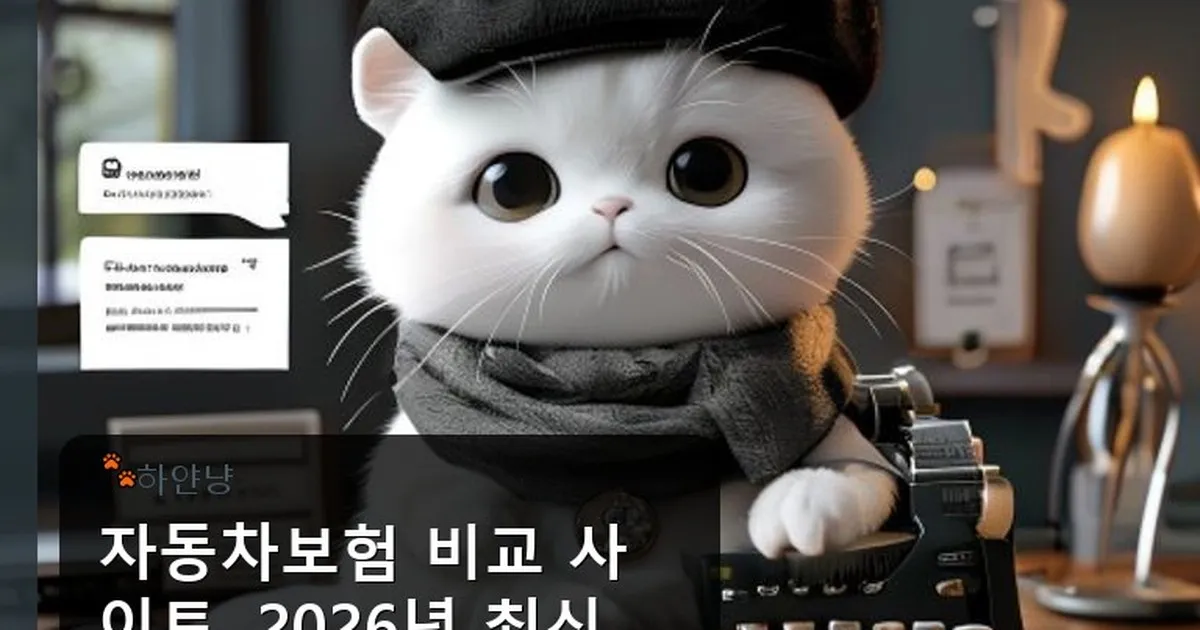 자동차보험 비교 사이트 - chanyangyee.kr 캐릭터