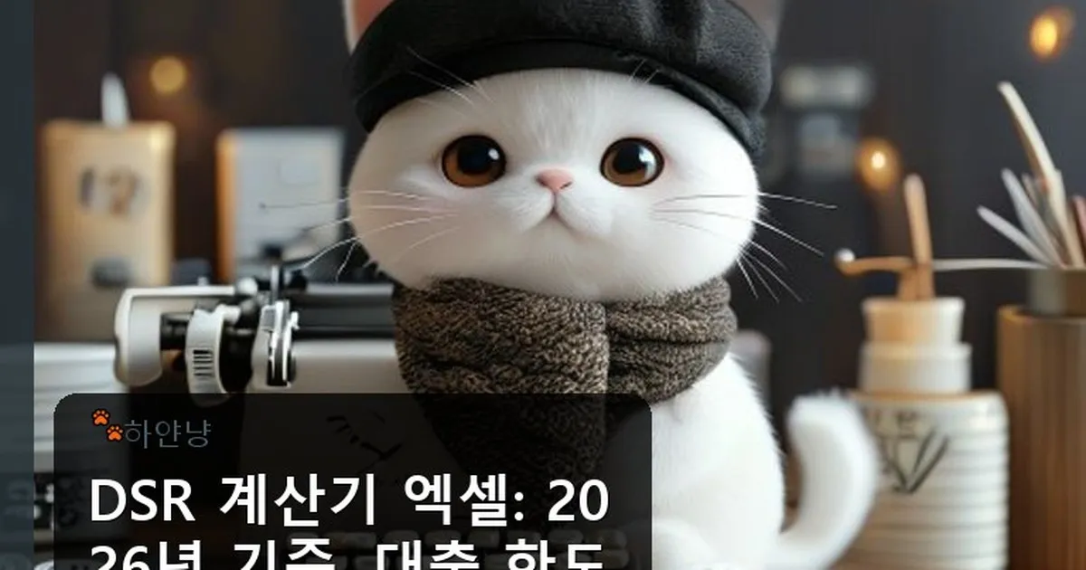 dsr 계산기 엑셀 - chanyangyee.kr 캐릭터