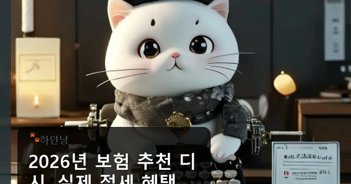 보험 추천 디시 - chanyangyee.kr 캐릭터