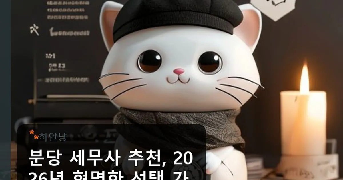 분당 세무사 추천 - chanyangyee.kr 캐릭터