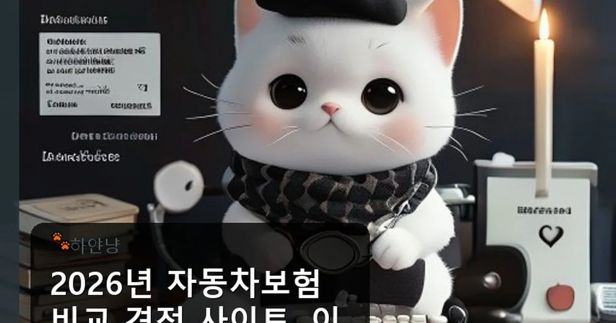 자동차보험 비교 견적 사이트 - chanyangyee.kr 캐릭터