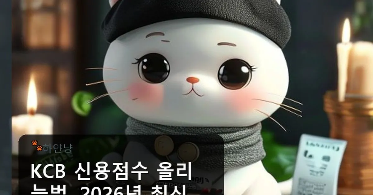 kcb 신용점수 올리는법 - chanyangyee.kr 캐릭터