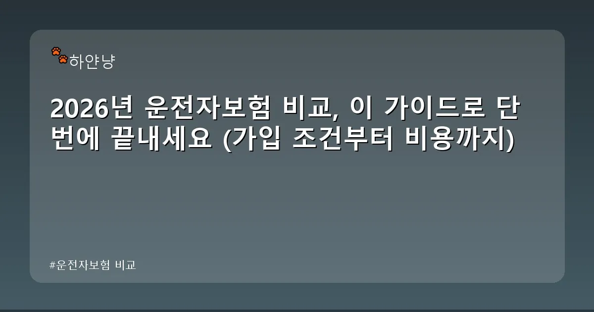 운전자보험 비교 - chanyangyee.kr 캐릭터