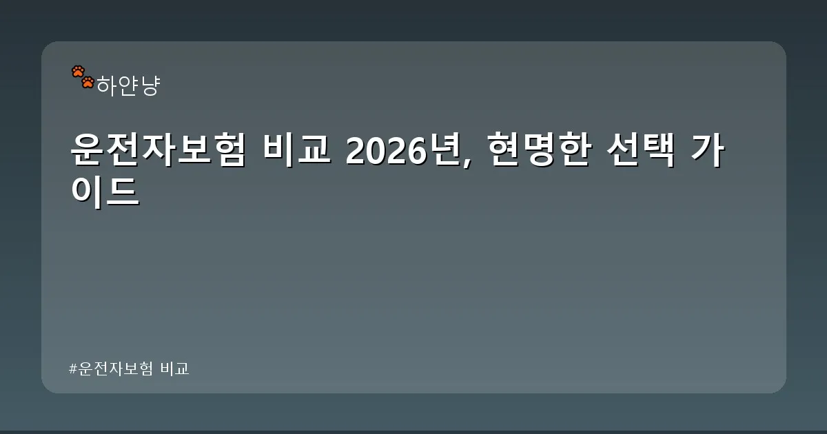 운전자보험 비교 - chanyangyee.kr 캐릭터
