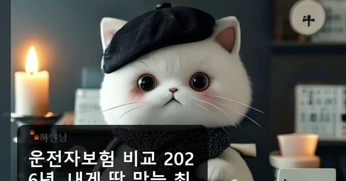 운전자보험 비교 - chanyangyee.kr 캐릭터