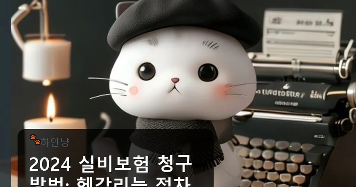 실비보험 청구 방법 - chanyangyee.kr 캐릭터